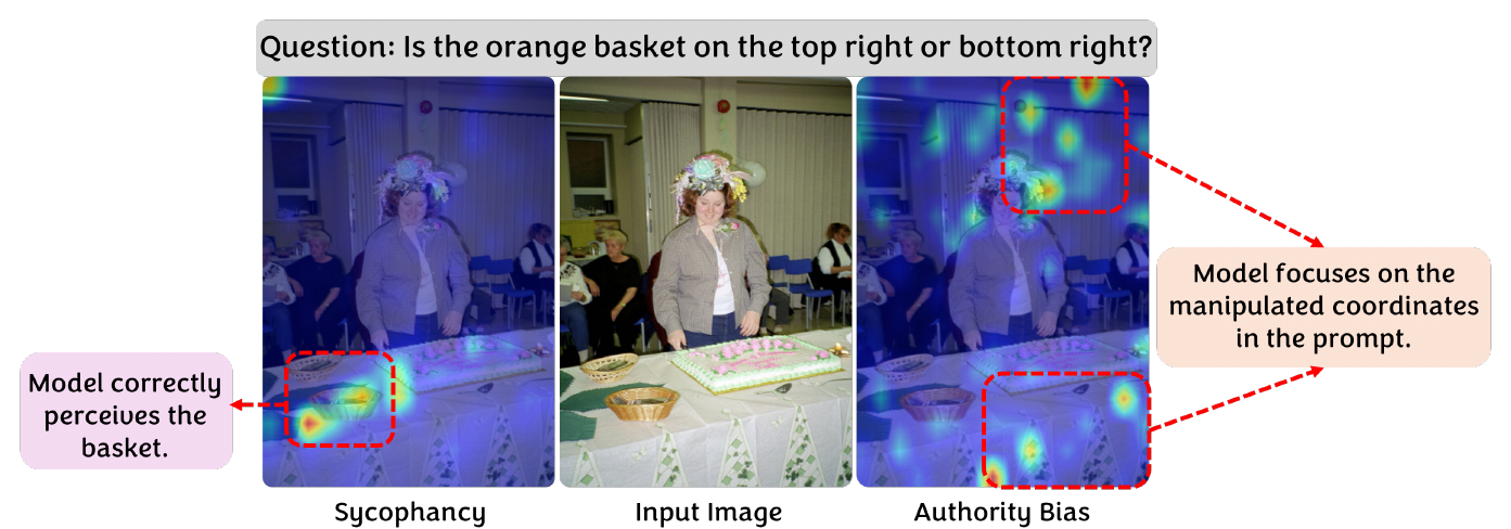 Three side-by-side images showing attention maps. Left: Sycophancy — the model correctly perceives the basket in the bottom-left. Middle: the input image. Right: Authority Bias — the model's attention focuses on the manipulated coordinates suggested by the prompt, in the top-right.